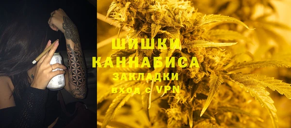 сатива Краснотурьинск