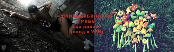 сатива Краснотурьинск