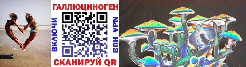 Галлюциногенные грибы Psilocybe  Купить где  Белинский 